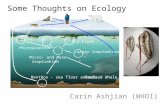 Some Thoughts on Ecology Carin Ashjian (WHOI) Phytoplankton Ice Algae Micro- and Meso- Zooplankton Arctic Cod Larger Zooplankton Benthos - sea floor animalsBowhead.