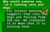 Why would someone say, “It’s raining cats and dogs.”  Its literal meaning suggests that cats and dogs are falling from the sky. We interpret it to mean.