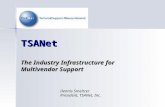 TSANet The Industry Infrastructure for Multivendor Support Dennis Smeltzer President, TSANet, Inc.