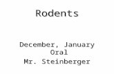Rodents December, January Oral Mr. Steinberger. .