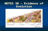 NOTES 30 – Evidence of Evolution. How is the theory of evolution supported? 1.Evidence that shows species have changed over time  Proves that species.