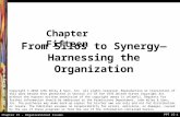 © 2007 John Wiley & Sons Chapter 15 - Organizational Issues PPT 15-1 From Silos to Synergy— Harnessing the Organization Chapter Fifteen Copyright © 2010.