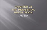 1700-1900.  The student will understand the Industrial Revolution and its effects on both Europe and North America in the late 19 th Century.