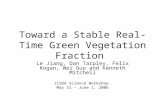 Toward a Stable Real-Time Green Vegetation Fraction Le Jiang, Dan Tarpley, Felix Kogan, Wei Guo and Kenneth Mitchell JCSDA Science Workshop May 31 – June.