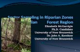 1 Elizabeth McGarrigle Ph.D. Candidate University of New Brunswick Dr. John A. Kershaw University of New Brunswick.
