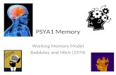 PSYA1 Memory Working Memory Model Baddeley and Hitch (1974)
