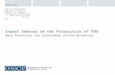 Expert Seminar on the Prosecution of THB: Best Practices for Vulnerable Victim-Witnesses Office of the Special Representative and Co-ordinator on Combating.