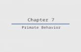 Chapter 7 Primate Behavior. Chapter Outline Primate Field Studies The Evolution of Behavior Sympatric Species Why Be Social? Primate Social Behavior.