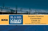 Senate Finance Committee CSSB 21 March 5, 2013 Kara Moriarty, Executive Director.