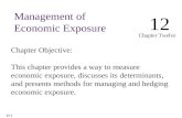 Chapter Objective: This chapter provides a way to measure economic exposure, discusses its determinants, and presents methods for managing and hedging.