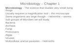 Microbiology – Chapter 1 Microbiology - The science that studies very small living things Usually requires a magnification tool – the microscope Some organisms.