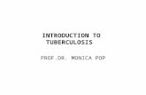INTRODUCTION TO TUBERCULOSIS PROF.DR. MONICA POP.