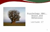 1 Psychology 304: Brain and Behaviour Lecture 17.