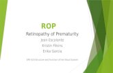 ROP Retinopathy of Prematurity Jean Escalante Kristin Filkins Erika Garcia SPE-516 Structure and Function of the Visual System.