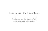 Energy and the Biosphere Producers are the basis of all ecosystems on the planet!