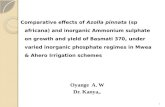 Comparative effects of Azolla pinnata (sp africana) and inorganic Ammonium sulphate on growth and yield of Basmati 370, under varied inorganic phosphate.