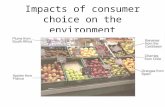 Impacts of consumer choice on the environment. Air miles / food miles Flowers Perishable Must have air freight More carbon dioxide released More impact.