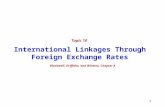 1 International Linkages Through Foreign Exchange Rates Topic 10 Blackwell, Griffiths, and Winters, Chapter 8.