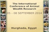 Hurghada, Egypt The International Conference of Animal Wealth Research.