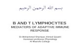B AND T LYMPHOCYTES MEDIATERS OF ADAPTIVE IMMUNE RESPONSE Dr.Mohammed Sharique Ahmed Quadri Assistant professor Physiology Al Maarefa College.