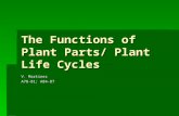 The Functions of Plant Parts/ Plant Life Cycles V. Martinez A78-81; A84-87.