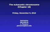 The eukaryotic chromosome (Chapter 16) Friday, November 5, 2010 Genomics 260.605.01 J. Pevsner pevsner@jhmi.edu.