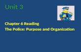 Unit 3 Chapter 6 Reading The Police: Purpose and Organization.