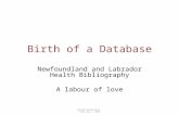 Birth of a Database Newfoundland and Labrador Health Bibliography A labour of love Shelagh Wotherspoon NLHLA May 9, 2008.