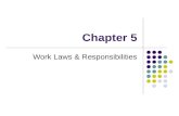 Chapter 5 Work Laws & Responsibilities. Required Work Forms W-4 W-2 Social Security Work Permit.