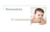 Neonates Dr.I.Lakshminarayana. Structure Normal new born Adaptation to extra uterine life Nutrition Maintaining temperature Common neonatal problems Neonatal.