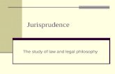 Jurisprudence The study of law and legal philosophy.