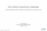 Self-similar hierarchical honeycombs by Babak Haghpanah, Ramin Oftadeh, Jim Papadopoulos, and Ashkan Vaziri Proceedings A Volume 469(2156):20130022 August.