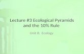 Lecture #3 Ecological Pyramids and the 10% Rule Unit 8: Ecology.