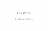 Keystone Ecology Review. Levels of Organization Ecosystem—biotic & abiotic Community—all biotic factors Pollution—only one group (species) of organisms.
