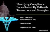 Identifying Compliance Issues Raised By E-Health Transactions and Strategies Guy Collier, Esq. Gadi Weinreich, Esq. Shaw Pittman September 27, 2000.