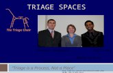 TRIAGE SPACES “Triage is a Process, Not a Place” December 2, 2008 Brandon Thompson Kapil Raj Nair Becky Halcik _The_Triage_Chair.
