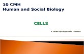 10 CMH Human and Social Biology CELLS Crated by Reynaldo Thomas.