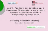 Joint Project on setting up a European Observatory on cross- border activities within temporary agency work Steering Committee Meeting Brussels 3 December.