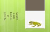 Golden Coqui Extinction Activity. Why are we doing this activity?  The Golden Coqui (Eleutheroactylus jasperi) is one of the most important symbols of.