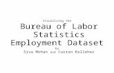 Visualizing the Bureau of Labor Statistics Employment Dataset by Siva Mohan and Curran Kelleher.