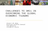 CHALLENGES TO SMIs IN OVERCOMING THE GLOBAL ECONOMIC TSUNAMI Steven C.M. Wong Assistant Director General ISIS Malaysia steve@isis.org.my.
