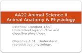 Essential Standard 4.00: Understand reproductive and digestive physiology. Objective 4.01: Understand reproductive physiology, AA22 Animal Science II Animal.
