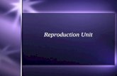 Reproduction Unit. Male Reproductive System  Puberty - period of growth when secondary sex characteristics appear.  Puberty begins when a male begins.