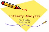 Literary Analysis Ms. Bailey English 12. Literary theories are like different lenses on a camera. Your job is to choose a lens, then picture your novel.