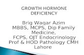 Brig Waqar Azim MBBS, MCPS, Dip Family Medicine, FCPS, OJT Endocrinology Prof & HOD Pathology CMH Lahore.