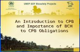 An Introduction to CPB and Importance of BCH to CPB Obligations.