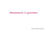 Monomeric G proteins Alice Skoumalová. 1.General features of chemical messengers - types of receptors 2.Endocrine, paracrine and autocrine actions 3.Examples.