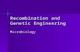 Recombination and Genetic Engineering Microbiology.