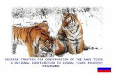 1 RUSSIAN STRATEGY FOR CONSERVATION OF THE AMUR TIGER - A NATIONAL CONTRIBUTION TO GLOBAL TIGER RECOVERY PROGRAMME.