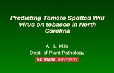 Predicting Tomato Spotted Wilt Virus on tobacco in North Carolina A.L. Mila Dept. of Plant Pathology.